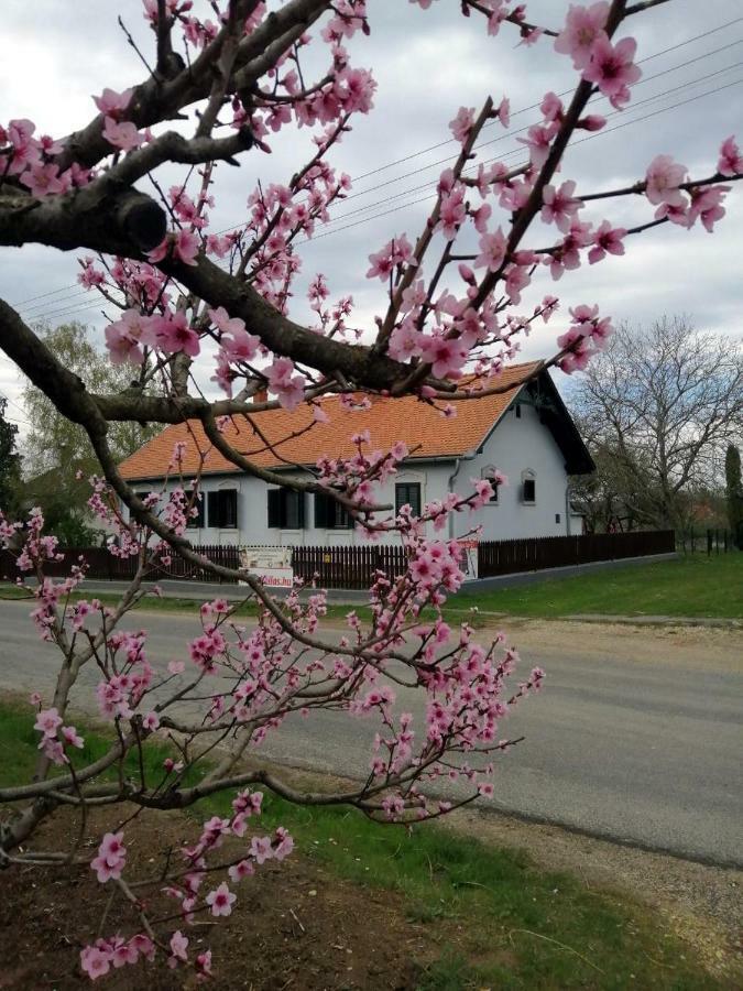 Szentgyoergyvoelgy Vendeghaz Orseg Hotel Szentgyorgyvolgy Bagian luar foto